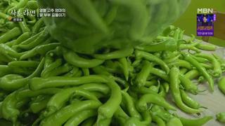 미리보기 이미지