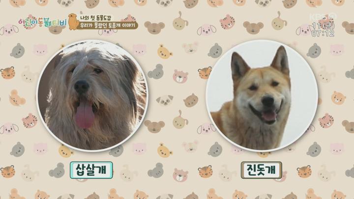 어린이 동물티비.E180.250711.1080p.H264-F1RST 비디오 썸네일 이미지