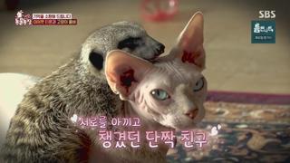 미리보기 이미지
