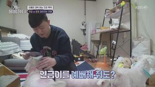 미리보기 이미지