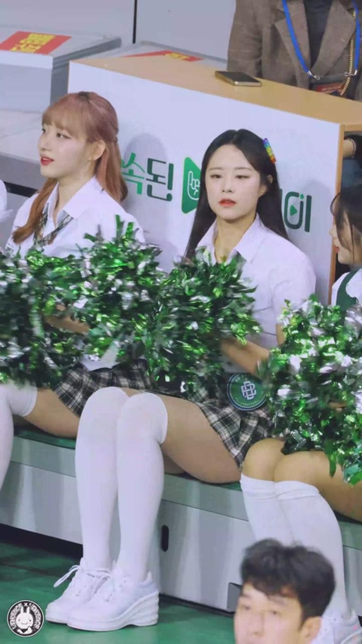 231229 치어리더 이호은 직캠 (1) 비디오 썸네일 이미지