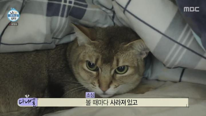 나 혼자 산다.E393.210423.1080p-NEXT 비디오 썸네일 이미지