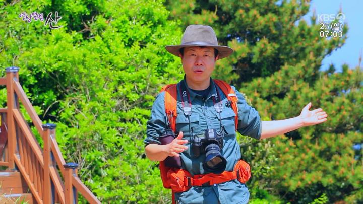 제주 사려니숲, 큰노꼬메오름 250525 비디오 썸네일 이미지