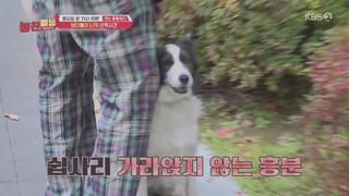 미리보기 이미지