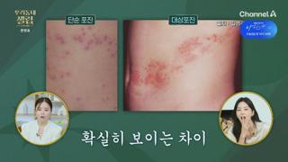 미리보기 이미지