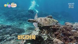 미리보기 이미지