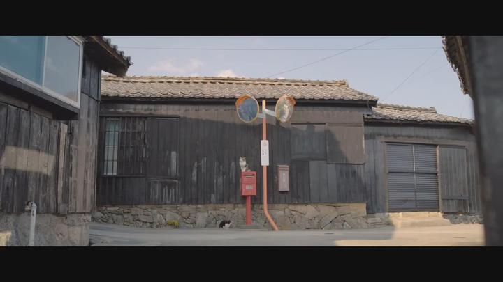 [고양이와 할아버지]인생은 이제부터 시작이야 그렇지 타마 비디오 썸네일 이미지