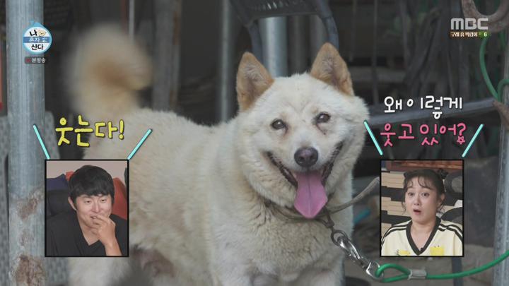 [원본] 나혼자산다.E562.240913.전현무.코쿤.이주승.박지현.1080i.HDTV [초고화질 tp ts] 비디오 썸네일 이미지