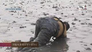 미리보기 이미지