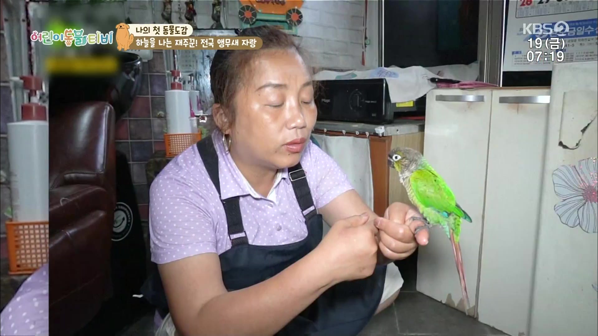 썸네일 이미지