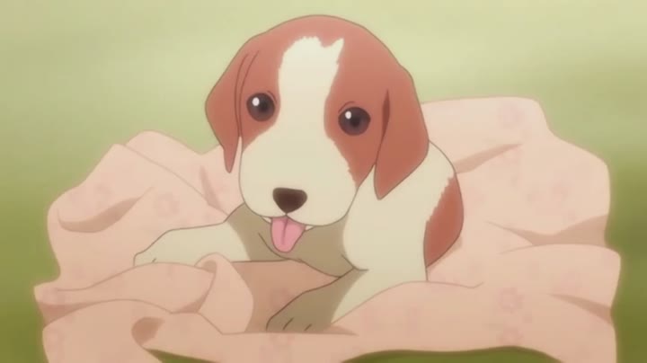 니세코이 OVA 04화 비디오 썸네일 이미지