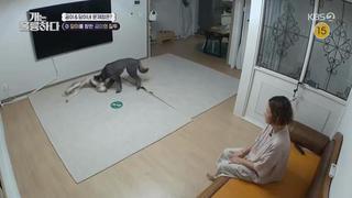 미리보기 이미지