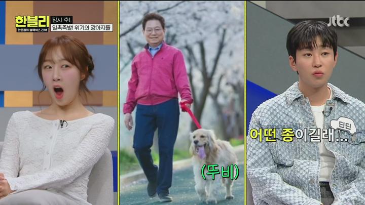 한문철의 블랙박스 리뷰.E130.250617.1080p.H265-F1RST 비디오 썸네일 이미지