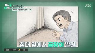 미리보기 이미지