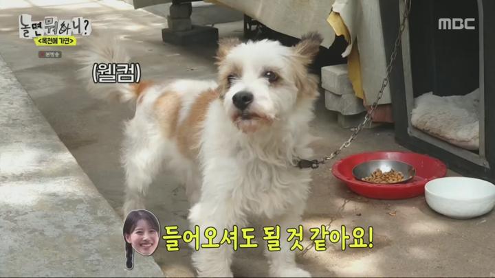놀면 뭐하니.E241.240706.720p.H264-F1RST 비디오 썸네일 이미지