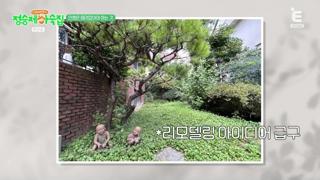 미리보기 이미지