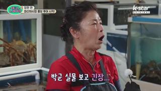 미리보기 이미지