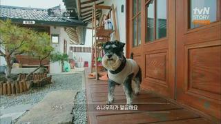 미리보기 이미지