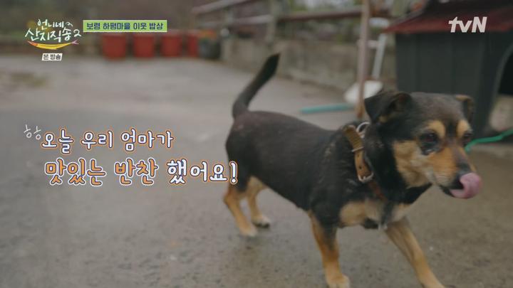 언니네 산지직송2.E10.250615.1080p.H265-F1RST 비디오 썸네일 이미지