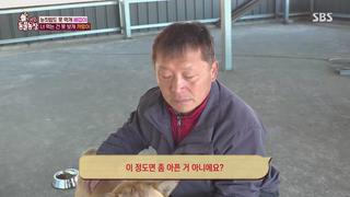 미리보기 이미지