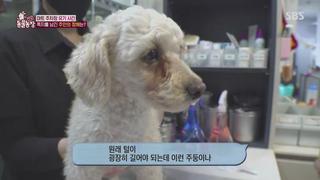 미리보기 이미지