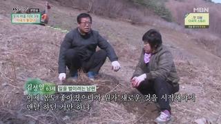 미리보기 이미지