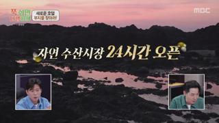 미리보기 이미지