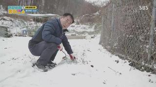 미리보기 이미지