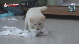 미리보기 이미지