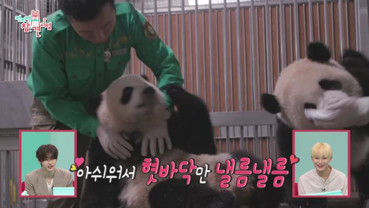 전지적 참견 시점 E306 20240706 720P-KING 비디오 썸네일 이미지