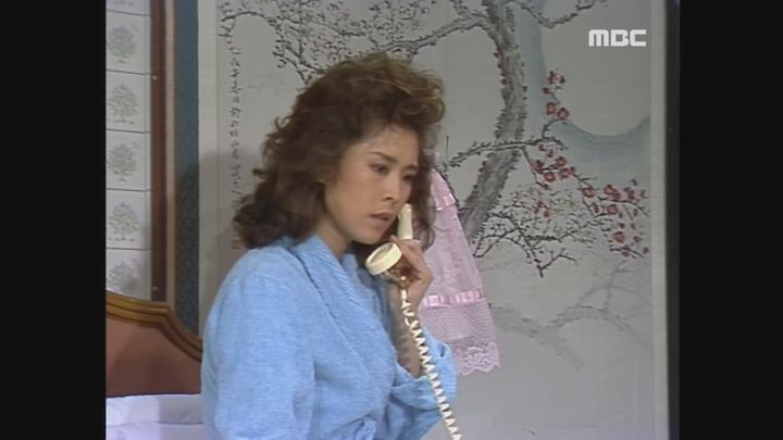 사랑과 야망.E86.871115.1080p.avi 비디오 썸네일 이미지