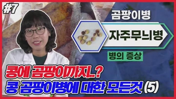 콩 주요 병해충 방제 - 갈색무늬병_자주무늬병 비디오 썸네일 이미지
