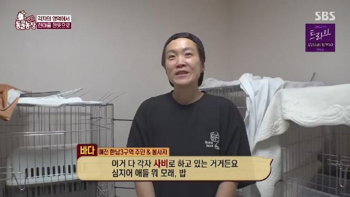 TV 동물농장.E1230.250720.450p.HANNA 비디오 썸네일 이미지