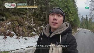 미리보기 이미지