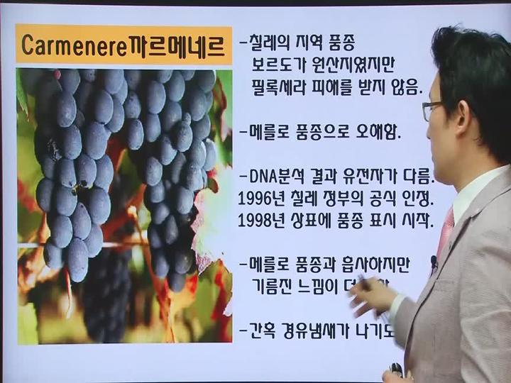 비즈니스를 위한 와인.04_Good! 코스트 퍼포먼스 칠레 와인 비디오 썸네일 이미지