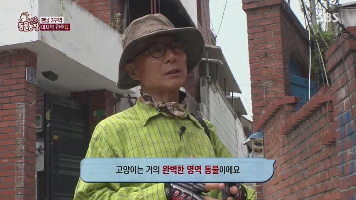 TV 동물농장.E1231.250720.720p.H264-F1RST 비디오 썸네일 이미지