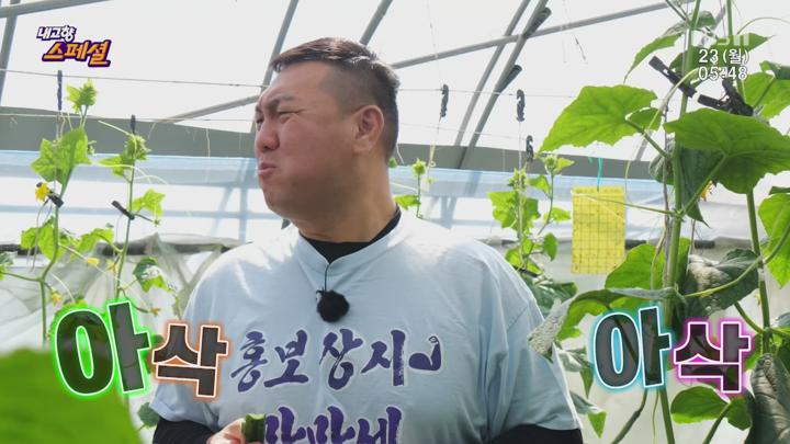 내고향 스페셜.E2034.250623.1440p.H265-F1RST 비디오 썸네일 이미지