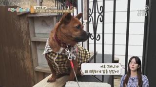 미리보기 이미지