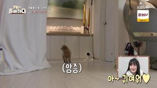 미리보기 이미지