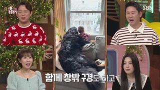 미리보기 이미지