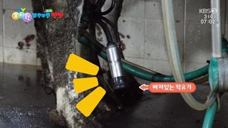 미리보기 이미지