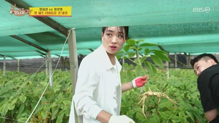 사장님 귀는 당나귀 귀.E276.240929.360p-NEXT 비디오 썸네일 이미지