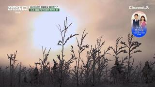 미리보기 이미지