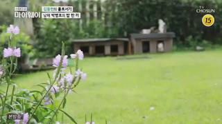 미리보기 이미지