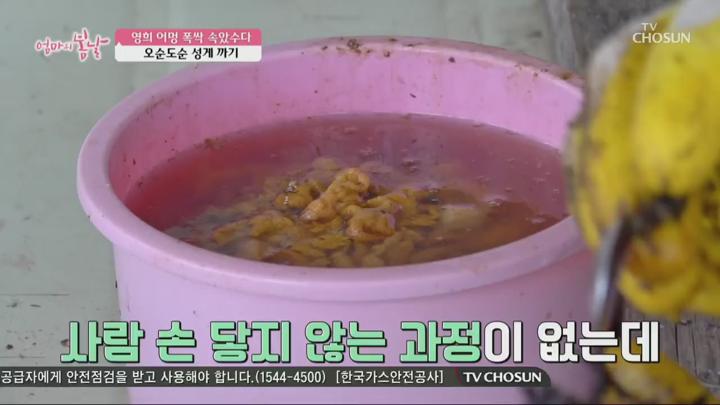 엄마의 봄날.E511.250629.720p.H264-F1RST 비디오 썸네일 이미지