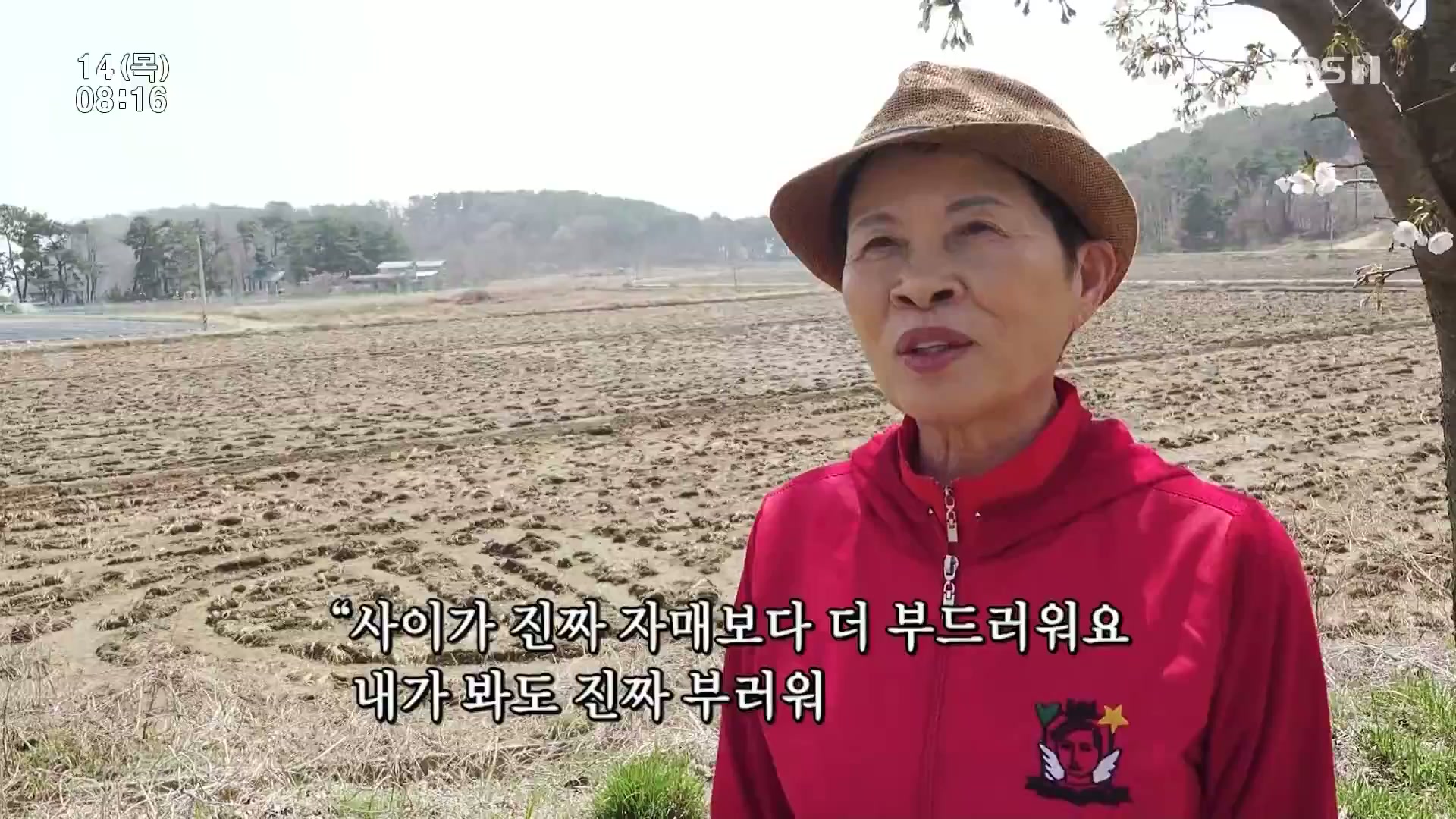 썸네일 이미지