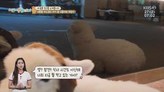 미리보기 이미지