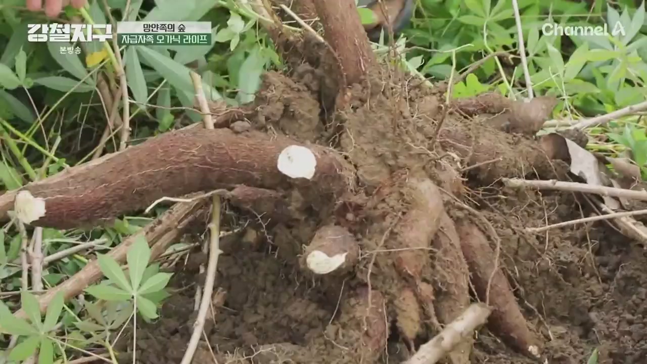 썸네일 이미지