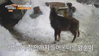 미리보기 이미지