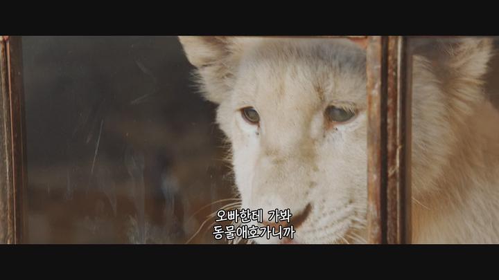 화이트 라이언 찰리 [1080p] -멜라니 로랑- 정식릴 비디오 썸네일 이미지
